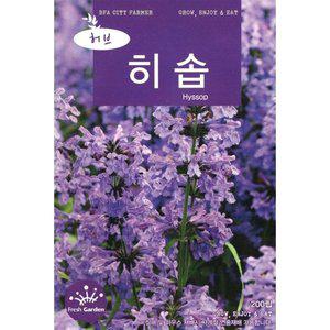 2025 씨앗 허브 히솝 (WFGUM12)