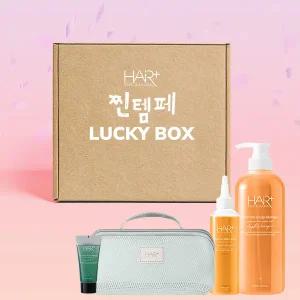 [럭키박스] 헤어플러스 애플비니거 탈모완화 헤어케어 세트 /(애플비니거 샴푸 700ml + 워터 스케일러 200ml + 스캘프 탈모완화 샴푸 50ml + 메쉬 파우치)