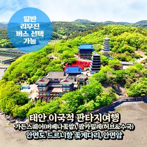 [충남] 태안 판타지여행(가든스퀘어,팜카밀레,안면도,안면암) 당일여행 (일반/리무진버스) / 서울경기出