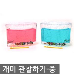 우야몰 개미관찰하기 중 개미 관찰 키우기 탐구 학습 과학 기르기 영재관찰시리즈 우주개미실험