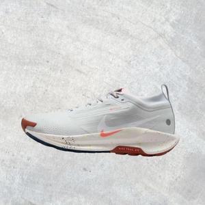 나이키 페가수스 트레일 GORE-TEX 남자 남성 데일리 조깅화 워킹화 런닝화 운동화 147596