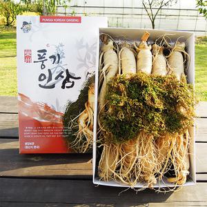 [풍기인삼] 6년근 원수삼(대) 750g(9~10뿌리)