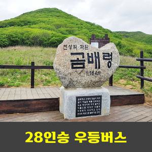 곰배령 야생화 곰배골코스 리무진버스