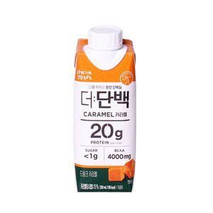 [기타]빙그레 더단백 카라멜 250ml 18개 단백질 프로틴