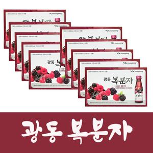 광동 복분자 100mL x 100병
