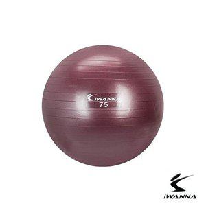 [베프몰]루비와인 AASXDYLN 짐볼 안티버스트 아이워너 75cm