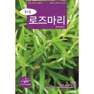 2025 씨앗 허브 로즈마리 (WFGUM0Z)