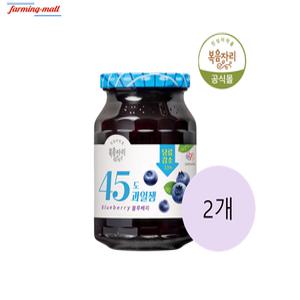 [보금푸드] 복음자리 45도 과일잼 블루베리 350g 2개