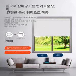 더패스터 무타공전동커튼 자동 원격 전동셔터 레일