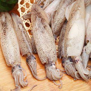 녹진한 크리미 총알한치 1kg(500gX2팩)(15~30미 내외/1팩)