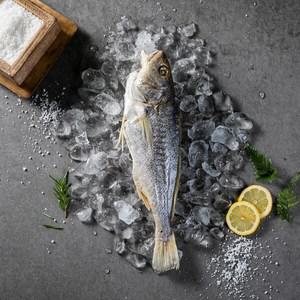 [속초반건조생선]반건조 부세 조기(960g,20cm이상,8미)