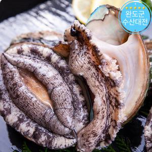 완도 활전복 1kg / 사이즈 선택 / 특대전복 7-8미 / 손질도구 + 받을날짜 선택가능