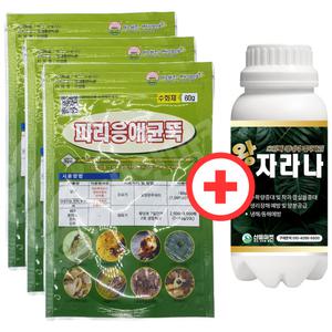 산들마켓 파리응애균뚝 수화제 60g 병해충관리용 유기농업자재 3개+ 왕자라나 500ml 1개