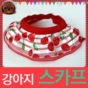 제니리본/반려견리본/스카프/똑딱핀/타이