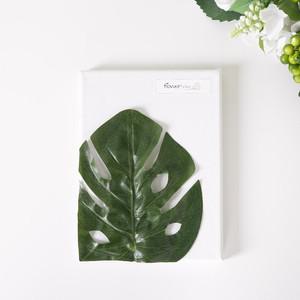 몬스테라 조화 꽃 캔버스 액자 레스트 set 20cm 인테리어 녹색 벽걸이 장식 소품 꾸미기