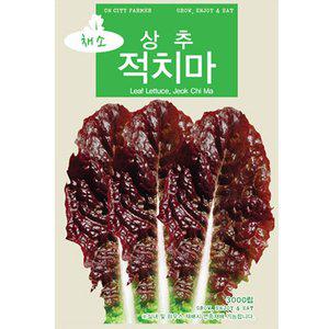 [기타]청농 적치마 상추씨앗 3000립