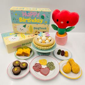 강아지케이크 생일파티상 12종 풀패키지 강아지케익 생일상수제간식 각종용품세트
