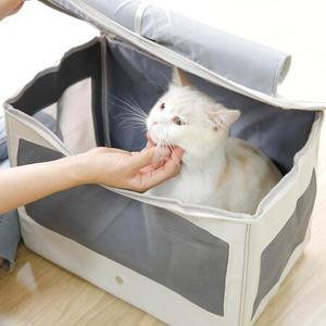 옥희독희 위로열림 고양이 이동장
