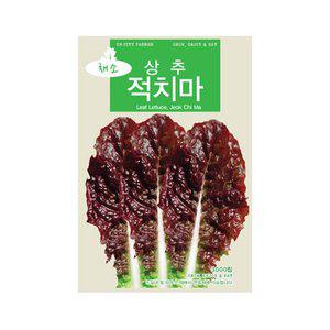 [기타]화분백화점 씨앗 꽃씨 잔디씨앗 배양토 모종판 나무씨앗 풀씨 (CN) 적치마상추 씨앗 (3000립)
