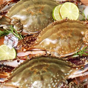 살이 꽉 찬 몽당꽃게 1kg 제철 꽃게탕 꽃게찜용