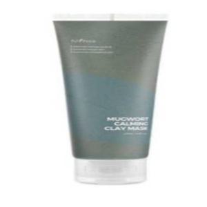 이즈앤트리 머그워트 카밍 클레이 마스크 100ml