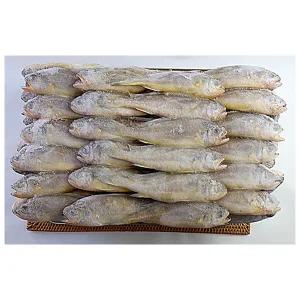 냉동 업소용 참조기 봉화 50-52미 3.5kg