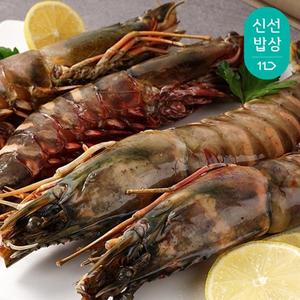 [품질보장] 선물하기 좋은 킹 블랙타이거 새우 선물세트 / 구이 / 찜 / 홈파티 / 캠핑푸드