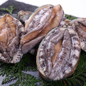 완도 활전복 7-8미 1kg(특대)