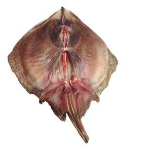 바다향 가득한 반건조 간재미 국물요리용 1kg (46미)