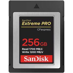 SanDisk Extreme PRO 256GB CFexpress Type B 메모리 카드