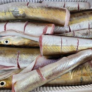 (탕용)여수 갯장어 1kg, 하모 손질 생선 맑은탕 매운탕 전골 재료