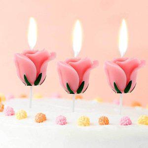 초 케이크초 생일 캐릭터초 기념일초 예쁜초 핑크 (WFFP4I0)