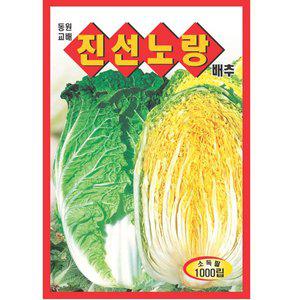 [기타]진선노랑 김장 배추씨앗 1000립