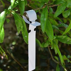 리본 나무 이름표 200p/식물/스티커/화분/만들기/꽂이/다육이/텃밭/꽃/픽/화초/라벨/팻말/모종/수목/네임텍