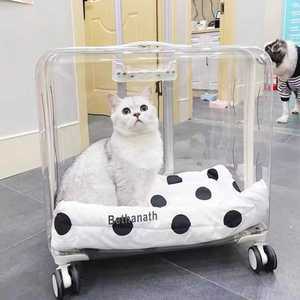 고양이 투명 캐리어 케이지 바퀴 가방 알루미늄 프레임 강아지 이동장