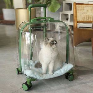 ZEN 고양이 투명 캐리어 나들이 애견 대형 슬링백