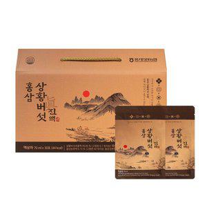 [풍기인삼농협] 황풍정 홍삼 상황버섯 진액 70ml x 30포