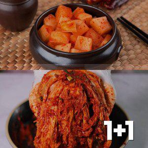 (1+1) 밑반찬 김장 배추김치 깍두기 세트 김치전 식당 여행