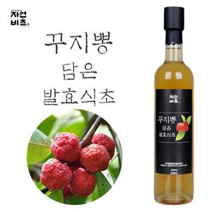 자연비초/꾸지뽕 담은 발효식초 500ml/꾸지뽕식초