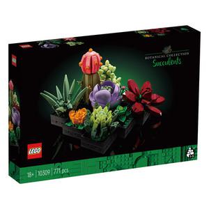 레고 아이콘스 10309 보타니컬 컬렉션 다육식물 취미 수집 인테리어 장식 상담 교육학습 LEGO