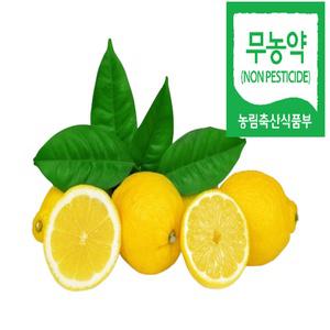 친환경 무농약 제주 레몬 햇레몬 1kg 5kg 5키로 1세트