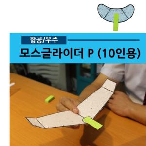 10인용 스티로폼 무동력 모스글라이더 비행기 가정학습 남아 IQ