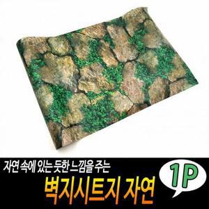 벽지인테리어트렌 방꾸미기 벽지시트지 자연