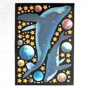 스티커 데코심플야광인테리어 우주담은 고래 FDS-21219