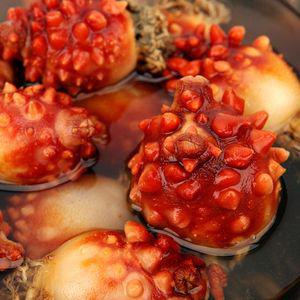 [바다담음] 통영 활멍게 1kg(5~12미 내외)