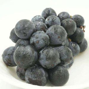 거봉 포도 1kg