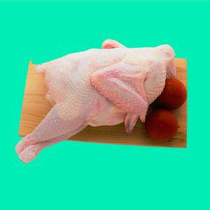 토종닭18호 1800g이상 급속냉동 폭주로 지연예상 (반품불가)