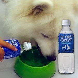 강아지 음료수 이온 수분 보충제 500ml 1P 산책 필수