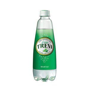 롯데칠성 트레비 라임 500ml X 6 PET (행사상품)