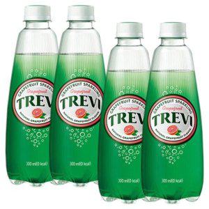 롯데 트레비 자몽 300ml x 40PET (20펫x2박스)